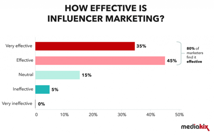 Instagram influencer marketing business avada strategies launch ideas successful factors steps