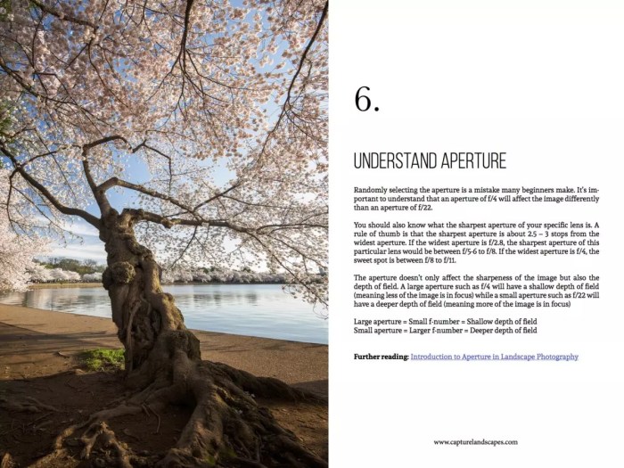 How to Optimize your outdoor photos with 4 simple steps.