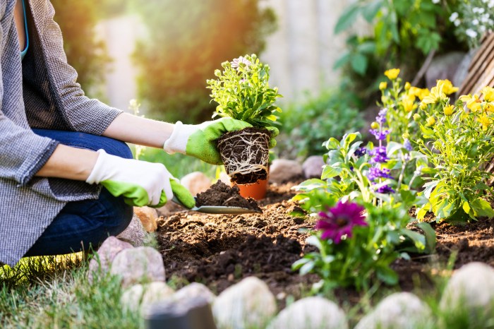 How to Optimize Your Gardening Skills: 4 Tips