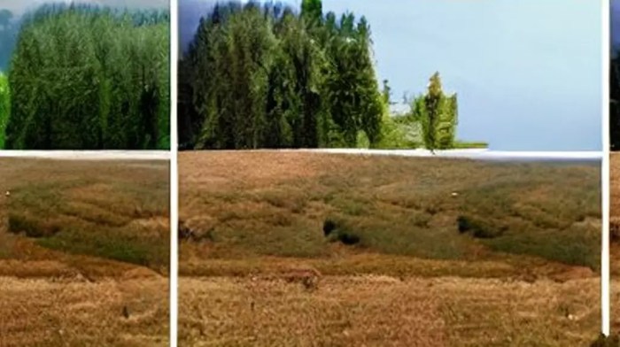 How to Optimize your outdoor photos with 4 simple steps.