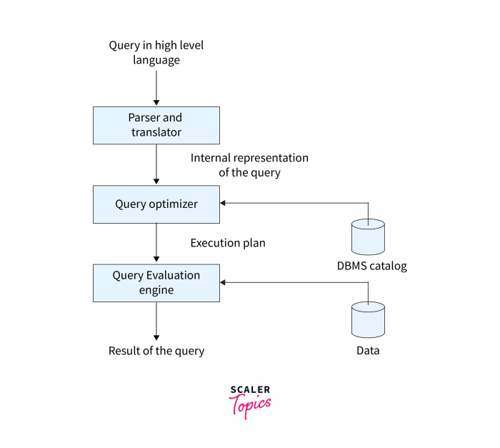 Sperm stronger fertile