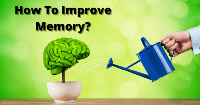 Memory infographics