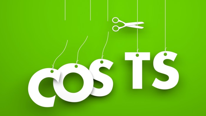 Optimize Your Cloud Storage: 9 Ways to Reduce Costs