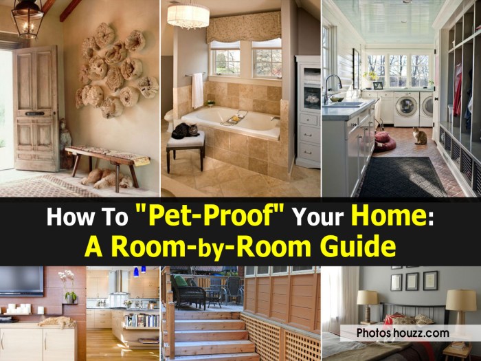 Proof garden pet spring tips kate watt manager marketing september